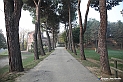 VBS_0888 - I Piloni della Via Crucis del Sacro Monte di Montà d'Alba